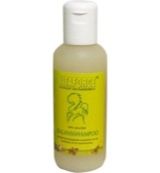 Vitaforce Vitaforce Paardenmelk shampoo (200ml)