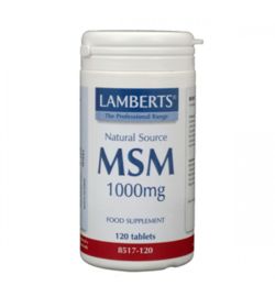 Lamberts Lamberts MSM 1000mg (120tb)