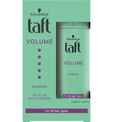 Taft Volume styling powder (10G) 10G