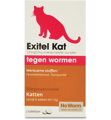 Exitel Kat no worm (2tb) 2tb